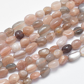 Natural Multi-Moonstone Beads Strands, Tumbled Stone, Nuggets, 8~12x7~9mm, Hole: 0.8mm, 15.1 inch(38.5cm)