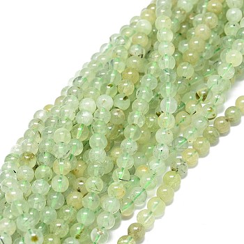 Natural Prehnite Beads Strands, Round, 4mm, Hole: 0.8mm, about 84pcs/strand, 15.55 inch(39.5cm)