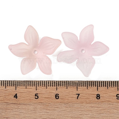 Transparent Acrylic Beads Caps(OACR-B022-02B)-3