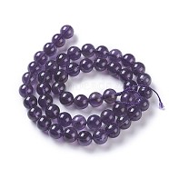 Natural Amethyst Beads Strands, Grade A, Round, 8mm, Hole: 1mm, about 49~51pcs/strand, 15.3 inch~15.75 inch(39~40cm)(G-P428-08-8mm)