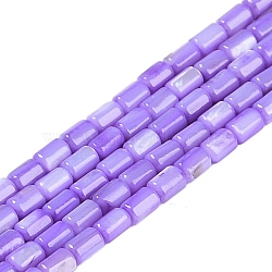 Natural Freshwater Shell Beads Strands, Dyed, Column, Lilac, 4.5~5x3~3.5mm, Hole: 0.6mm, about 77~79pcs/strand, 14.76~14.96''(37.5~38cm)(BSHE-H109-17C)