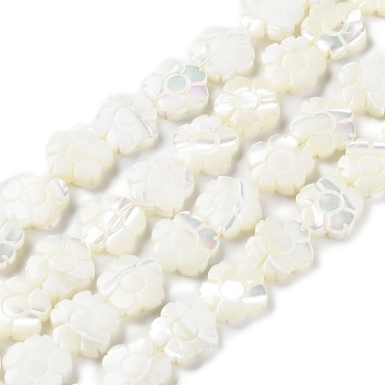 Natural Trochus Shell Beads Strands, Flower, Floral White, 12x12.5x3mm, Hole: 0.8mm, about 33pcs/strand, 15.75''(40cm)