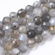 Natural Labradorite Beads Strands, Round, Faceted, 4mm, Hole: 0.8mm, about 90pcs/Strand, 15.75 inch(40cm)(G-R462-014)