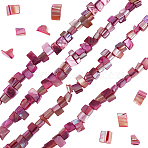 4 Strands Dyed Natural Freshwater Shell Beads Strands, Nuggets, Old Rose, 7.5~9x9.5~15x5~9mm, Hole: 0.9mm, about 42~50pcs/strand, 14.45''~14.76''(36.7~37.5cm)(SHEL-BBC0001-14C)