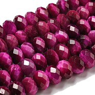 Natural Tiger Eye Beads Strands, Faceted, Dyed, Rondelle, Fuchsia, 8~8.5x5~5.5mm, Hole: 1mm, about 71pcs/strand, 15.31''(38.9cm)(G-K351-B07-03)
