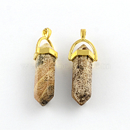 Picture Jasper Stone Pendants with Alloy Findings, Golden, 40~42x13.5x10mm, Hole: 2mm(G-R278-24G)