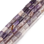 Natural Amethyst Beads Strands, Column, 7.5~8.5x5~6mm, Hole: 1mm, about 45~46pcs/strand, 14.69~15.04 inch(37.3~38.2cm)(G-C128-A02-01)