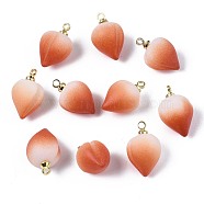 Opaque Resin Pendants, with Brass Findings, Peach, Coral, 14.5~15.5x9mm, Hole: 1.5mm(RESI-T051-09A)