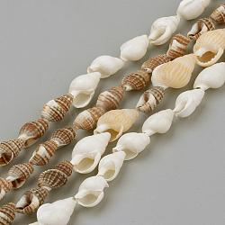 Natural Sea Shell Beads Strands, Mixed Color, 8~18x5~10x5~10mm, about 109pcs/strand, 48 inch(SSHEL-R043-05)