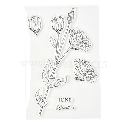 Silicone Clear Stamps, for Card Making Decoration DIY Scrapbooking, Flower Pattern, 19x12.5x0.3cm(DIY-A013-14)