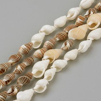 Natural Sea Shell Beads Strands, Mixed Color, 8~18x5~10x5~10mm, about 109pcs/strand, 48 inch