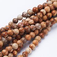 Gemstone Beads Strands, Natural Picture Jasper, Round, about 6mm in diameter, hole: about 0.8mm, 15~16 inch(GSR6mmC016)