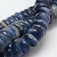 Rondelle Natural Kyanite/Cyanite/Disthene Bead Strands, 10x4~6mm, Hole: 1mm, about 103pcs/strand, 15.7 inch(G-O137-01C)