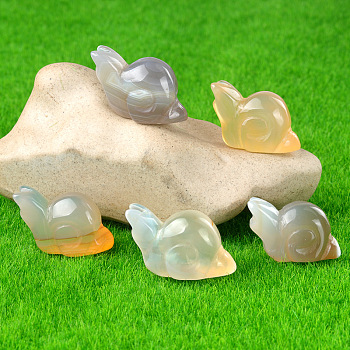 Natural Agate Carved Healing Snail Figurines, Reiki Energy Stone Display Decorations, 18x24~28x12mm