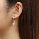 304 Stainless Steel Dangle Hoop Earrings(LD6089-2)-2