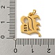 Ion Plating(IP) 304 Stainless Steel Charms(STAS-I010-01G-B)-3