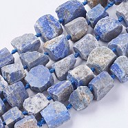 Natural Lapis Lazuli Beads Strands, Nuggets, Midnight Blue, 18~35x15~26x9~21mm, Hole: 1mm(G-G543-01)