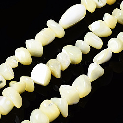 Natural Trochid Shell/Trochus Shell Bead Strands, Nuggets Chips, Dyed, Yellow, 3.5~13x6~12x3~8mm, Hole: 0.9mm, about 50~73pcs/strand, 15.35 inch~15.94 inch(39~40.5cm)(SSHEL-N034-78-C01)