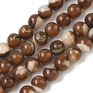 Natural Trochus Shell Beads Strands(SH-CBAFEDD-02A)-1