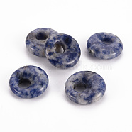 Natural Blue Spot Jasper Pendants, Donut/Pi Disc, 17.5~18.5x5.5mm, Hole: 5.5mm(G-T122-67G)