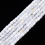 Natural Freshwater Shell Beads Strands, Column, 3.5x3.5mm, Hole: 0.8mm, about 110~113pcs/strand, 14.69 inch~15.08 inch(37.3~38.3cm)(SHEL-N003-33-B01)