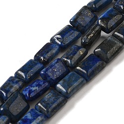 Natural Lapis Lazuli Beads Strands, Rectangle, 8~9x6.5~7x4mm, Hole: 0.8mm, about 45pcs/strand, 15.16 inch(38.5cm)(G-G085-A02-01)