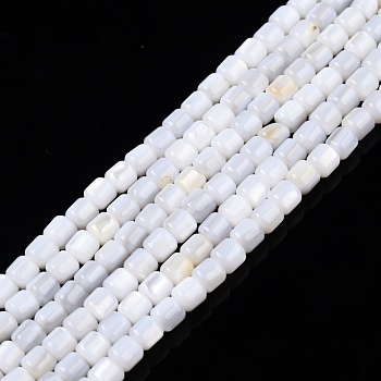 Natural Freshwater Shell Beads Strands, Column, 3.5x3.5mm, Hole: 0.8mm, about 110~113pcs/strand, 14.69 inch~15.08 inch(37.3~38.3cm)