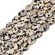Natural Dalmatian Jasper Beads Strands(G-H349-A01-02)-2
