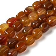 Natural Agate Beads Strands, Dyed & Heated, Cube, Chocolate, 11~12x8~9.5x8~9.5mm, Hole: 1.2mm, about 16pcs/strand, 7.48~7.72''(19~19.6cm)(G-H295-A01-06)