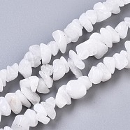 Natural White Moonstone Beads Strands, Chip, 5~15x3~10x1~7mm, Hole: 1mm, about  240~270pcs/Strand, 33.07~34.64 inch(84~88cm)(X-G-S363-018)