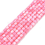 Natural Freshwater Shell Beads Strands, Dyed, Column, Pink, 3.5x3.5mm, Hole: 0.8mm, about 110~113pcs/strand, 14.69 inch~15.08 inch(37.3~38.3cm)(SHEL-N003-33-A09)