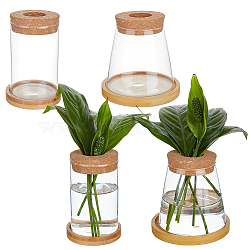 Glass Vase Ornaments, with Bamboo Base Terrarium Planters, for Air Plant Flowers Indoor Window Home Garden Decor, Mixed Shapes(AJEW-OC0014-23)