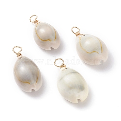 Natural Cowrie Shell Dyed Pendants, with Real 18K Gold Plated Eco-Friendly Copper Wire, Seashell Color, 28~32.5x14~16.5x11~12.5mm, Hole: 3.6mm(X-PALLOY-JF01206)