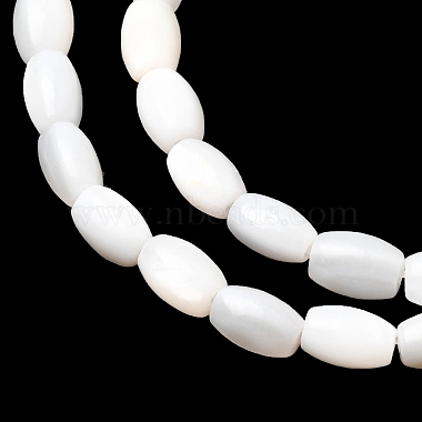eau douce naturelle de coquillage perles brins(SHEL-K006-06)-2