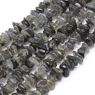 Natural Labradorite Beads Strands, Grade A, Chip, 5~8mm, Hole: 0.8mm, about 16 inch(40.6cm)(G-P332-54)
