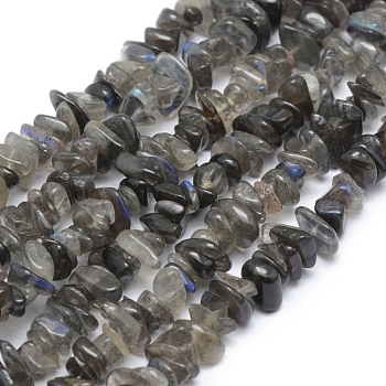 Natural Labradorite Beads Strands, Grade A, Chip, 5~8mm, Hole: 0.8mm, about 16 inch(40.6cm)