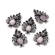 Natural Kunzite Pendants, Nine-Tailed Fox Charms, with Antique Silver Color Brass Findings, 30x23x6mm, Hole: 4x2mm(KK-A173-01AS-10)