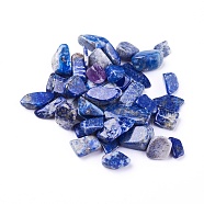 Natural Lapis Lazuli Beads, Undrilled/No Hole, Chips, 6~24x5~12x3~9mm, about 100g/bag(G-I221-18)