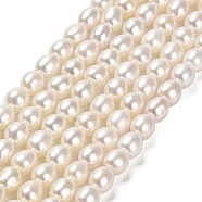 Natural Cultured Freshwater Pearl Beads Strands, Rice, Grade 5A, Floral White, 5~5.5x4.5~5mm, Hole: 0.7mm, about 60~61pcs/strand, 14.25''~14.41''(36.2~36.6cm)(PEAR-E016-125)