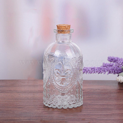 Glass Wishing Bottles, Bead Containers, Home Decorations, Column, 7x13cm(BOTT-PW0011-50E)