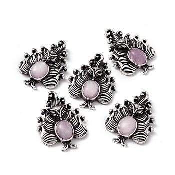 Natural Kunzite Pendants, Nine-Tailed Fox Charms, with Antique Silver Color Brass Findings, 30x23x6mm, Hole: 4x2mm