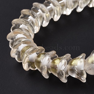 Transparent Glass Beads Strands(LAMP-H061-01D-02)-5