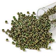 TOHO Round Seed Beads, Japanese Seed Beads, (1702) Gilded Marble Green, 8/0, 3mm, Hole: 1mm, about 222pcs/bottle, 10g/bottle(SEED-JPTR08-1702)