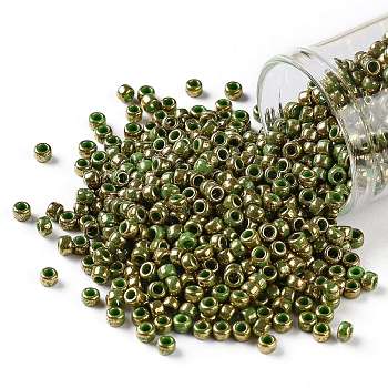 TOHO Round Seed Beads, Japanese Seed Beads, (1702) Gilded Marble Green, 8/0, 3mm, Hole: 1mm, about 222pcs/bottle, 10g/bottle