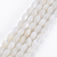 Natural Freshwater Shell Beads Strands, Rice, Seashell Color, 5x3mm, Hole: 0.9mm, about 83~85pcs/strand, 15.55 inch~15.75 inch(39.5~40cm)(SHEL-N027-08A)