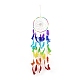 Chakra Theme Iron Woven Web/Net with Feather Pendant Decorations(AJEW-B016-03)-1