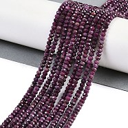 Natural Ruby Beads Strands, Grade AA, Faceted, Rondelle, 4x3mm, Hole: 0.7mm, about 135pcs/strand, 15.35''(39cm)(G-P553-F01-03)