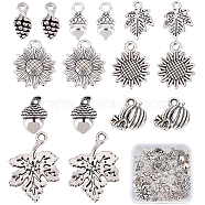 SUNNYCLUE 48Pcs 8 Style Tibetan Style Alloy Pendants, Cadmium Free & Lead Free, Mixed Shapes, Antique Silver, 10~29x7~21x1~10mm, hole: 1.4~3mm, 6pcs/style(TIBE-SC0001-61)