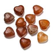 Natural Red Agate Beads, Half Drilled, Heart, 14.5~15x15~15.5x7~7.5mm, Hole: 1.2mm(G-B050-17)