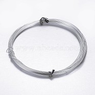 Round Aluminum Wire, Bendable Metal Craft Wire, for DIY Arts and Craft Projects, Gainsboro, 18 Gauge, 1mm, 5m/roll(16.4 Feet/roll)(AW-D009-1mm-5m-21)